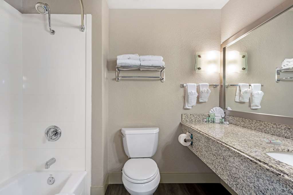Best Western Cedar Inn & Suites - photo 29