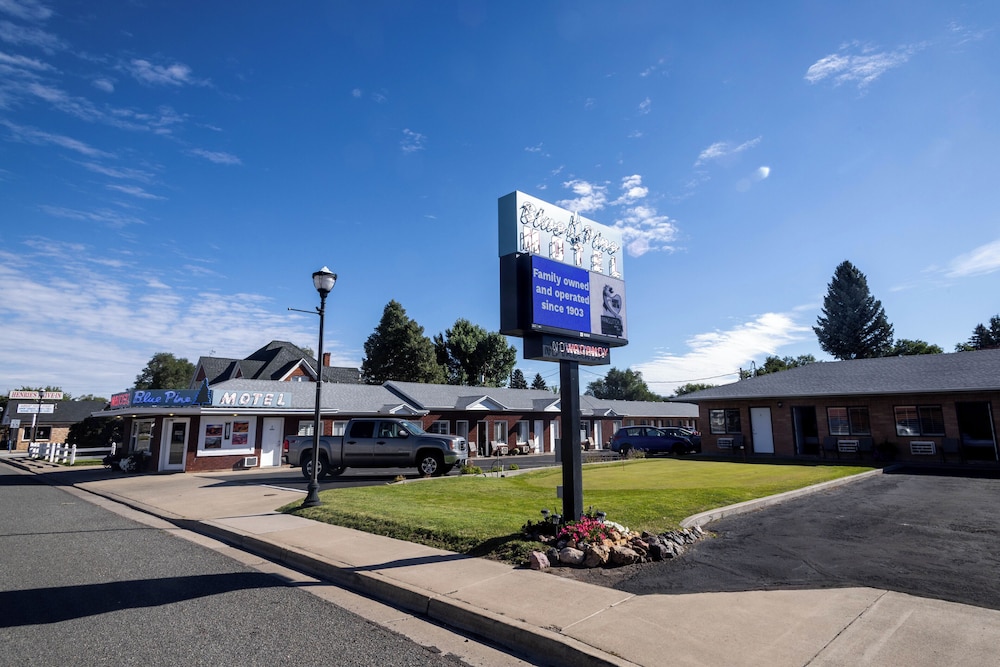 Blue Pine Motel - photo 22
