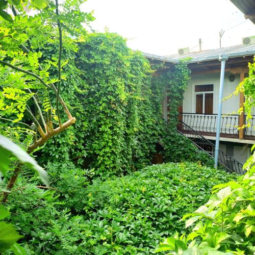 Hotel Terrace - last minute hotel in Samarkand