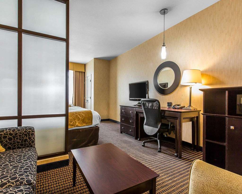 Comfort Suites Near City of Industry Los Angeles - photo 16