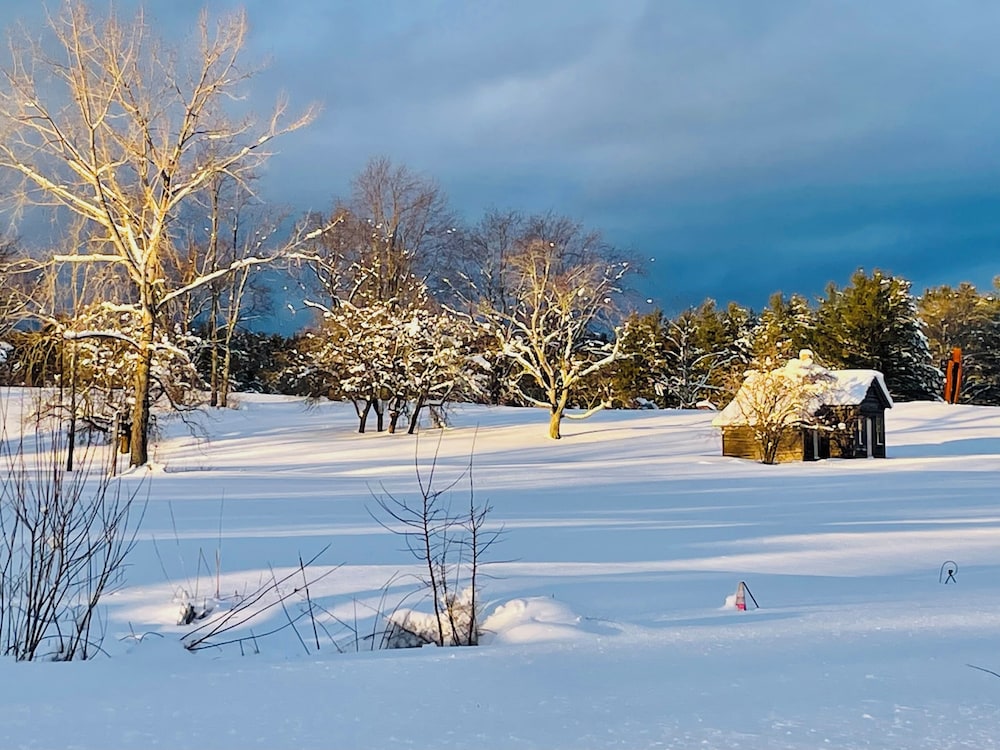 Gedney Farm - photo 43