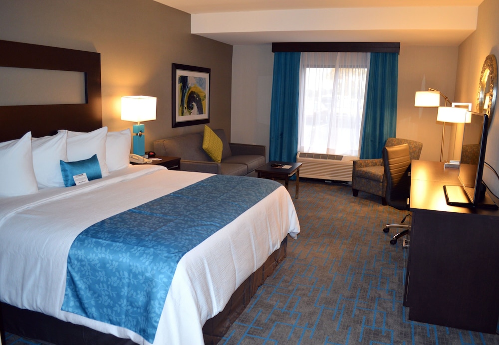 Holiday Inn & Suites Syracuse Airport Liverpool by IHG - photo 11