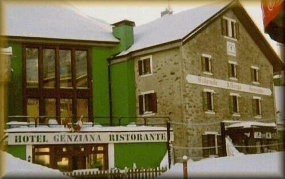 Genziana — Bormio