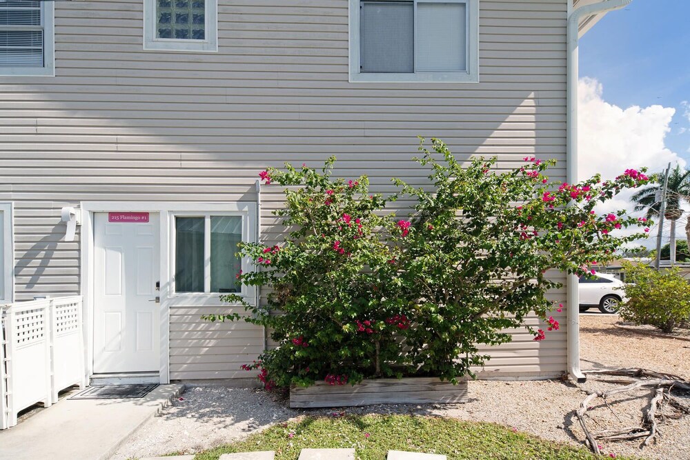 Blue Dolphin Estates - photo 18