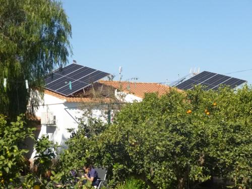 Finca Arboleda — Vera — photo 5