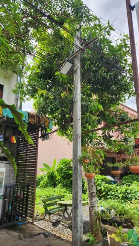 Yenta4fafad in Trang, Thailand