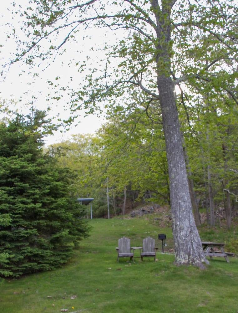 Bar Harbor Motel - photo 35