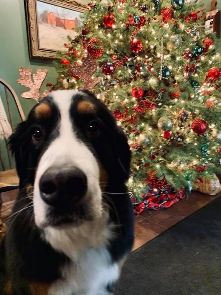 The Inn At Turkey Hill - photo 4