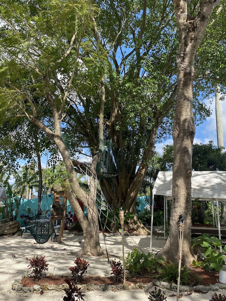 Hoosville Hostel - photo 21
