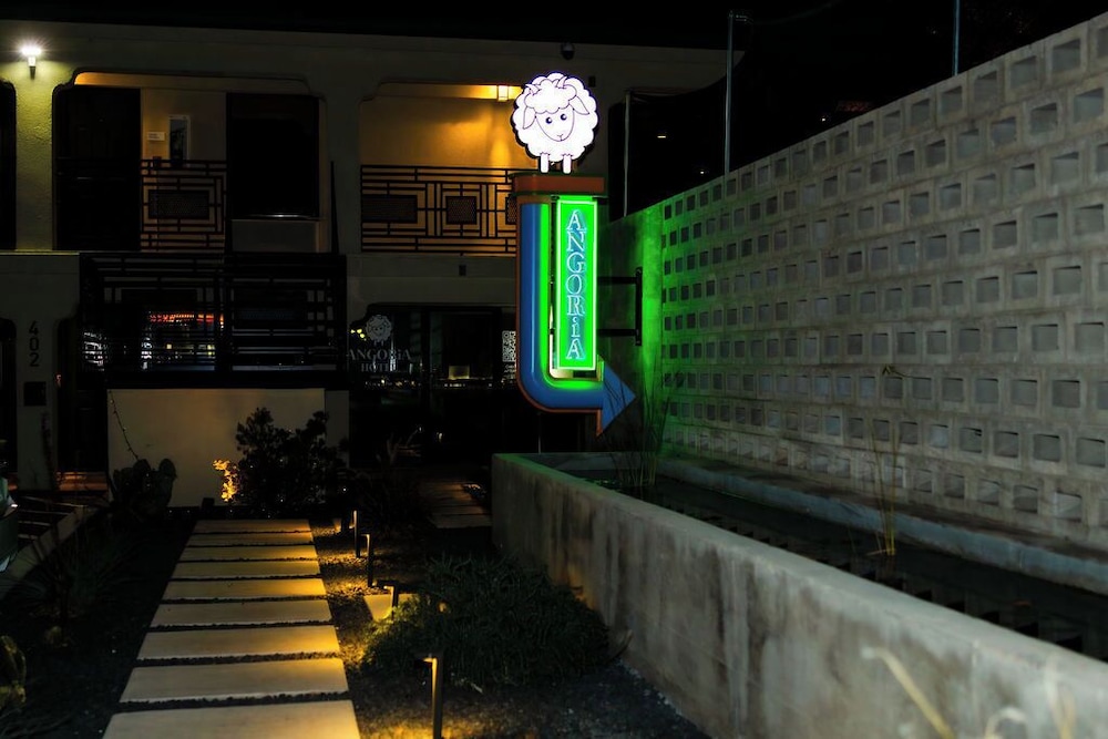 Angoria Hotel - photo 67