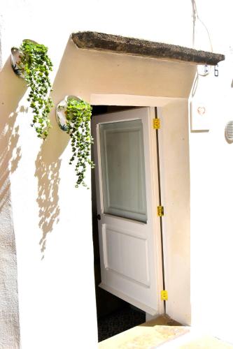 La Chicca di Ste — Gallipoli — photo 4