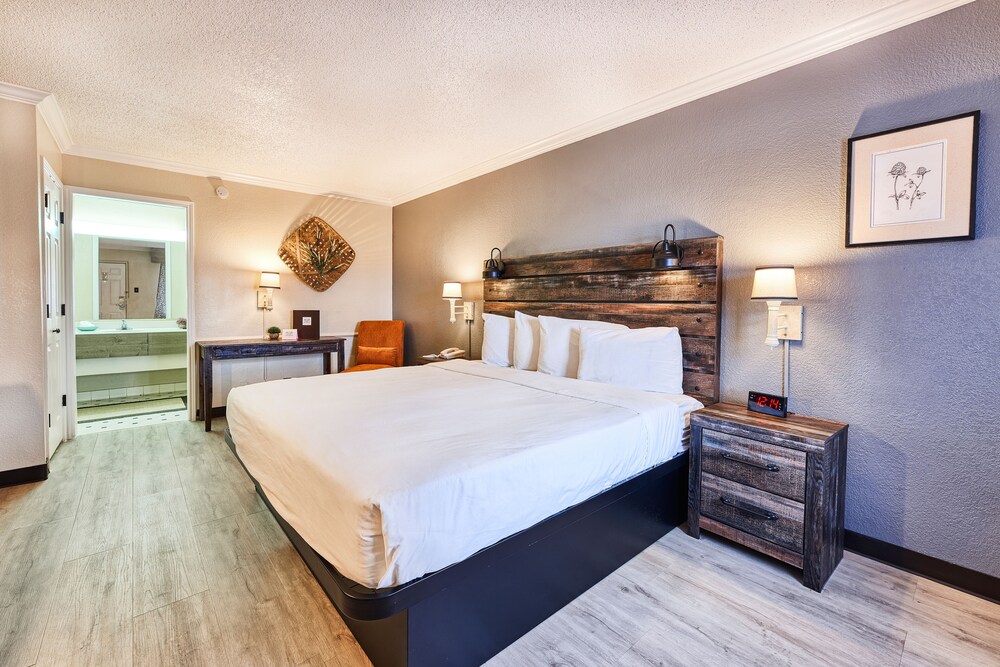 San Mateo Inn - photo 10
