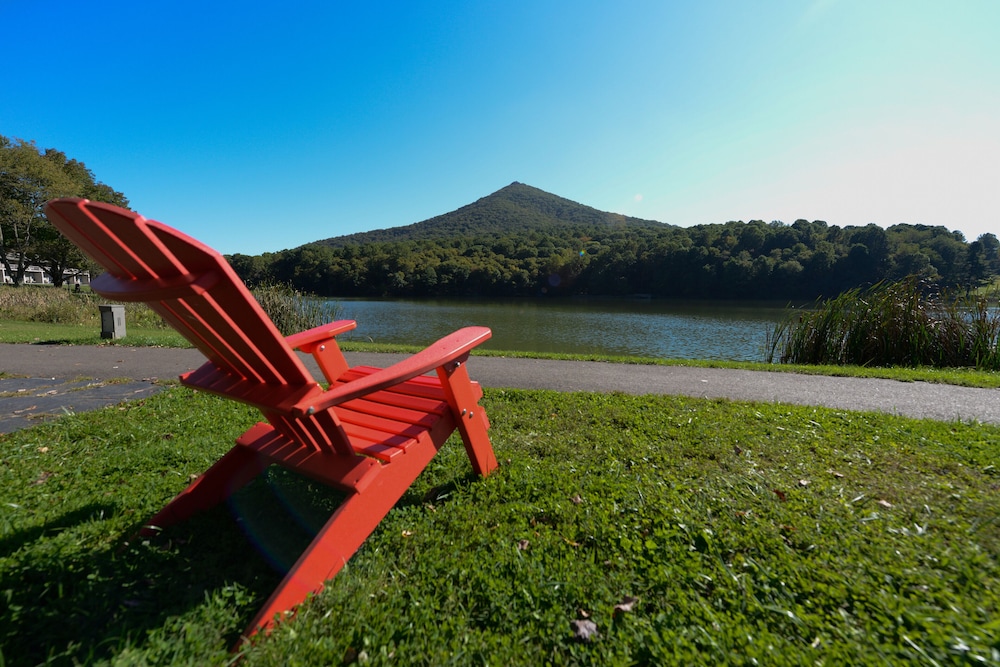 Peaks of Otter Lodge - photo 33