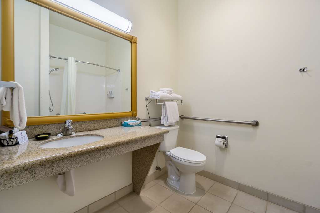Best Western Plus Grapevine Inn - photo 38