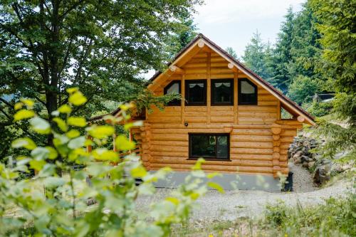 Log Cabin Piricske — Ciceu — photo 2