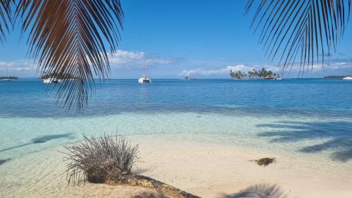 Sailing Experiences Full Catamaran with skipper in El Porvenir, Panama