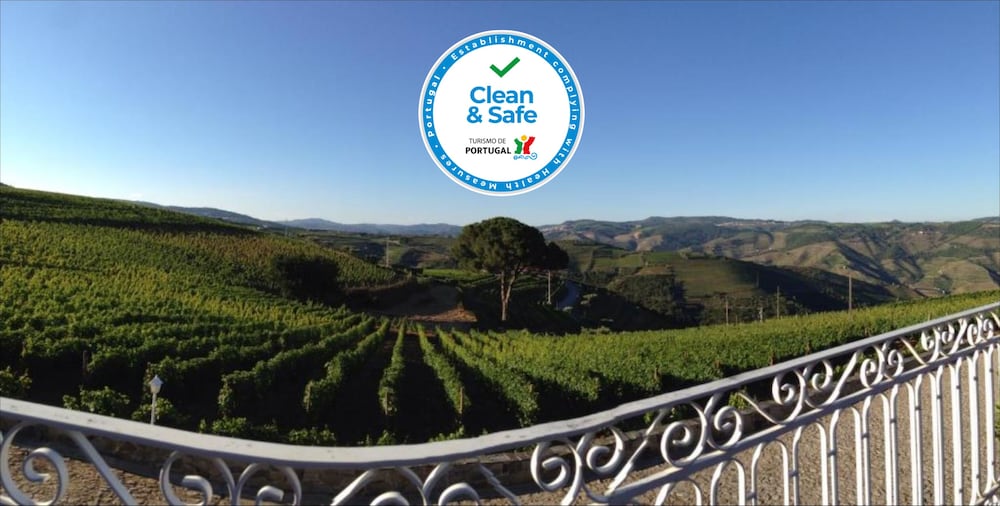 Quinta Dos Espinheiros 5629643 — Sabrosa