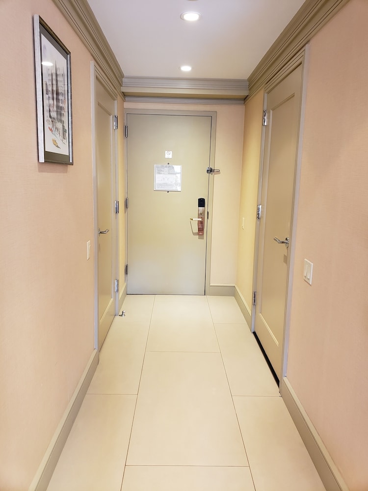 The Belvedere Hotel - photo 10