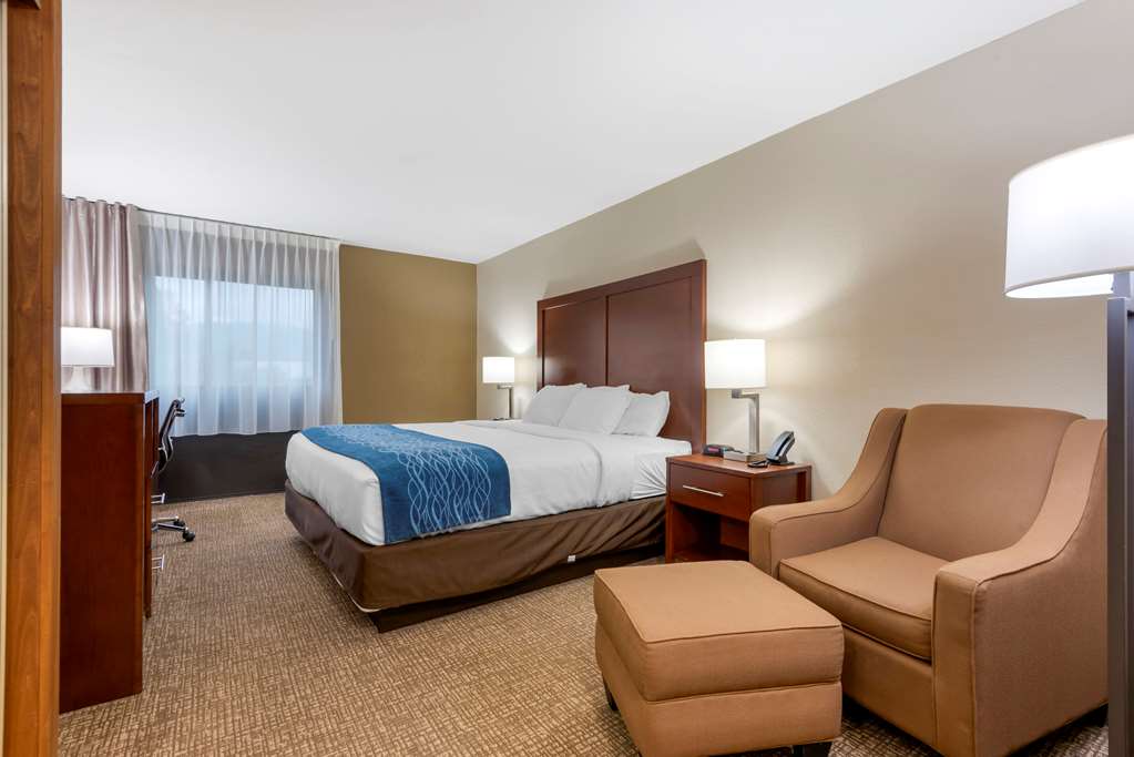 Comfort Inn Binghamton I 81 - photo 13