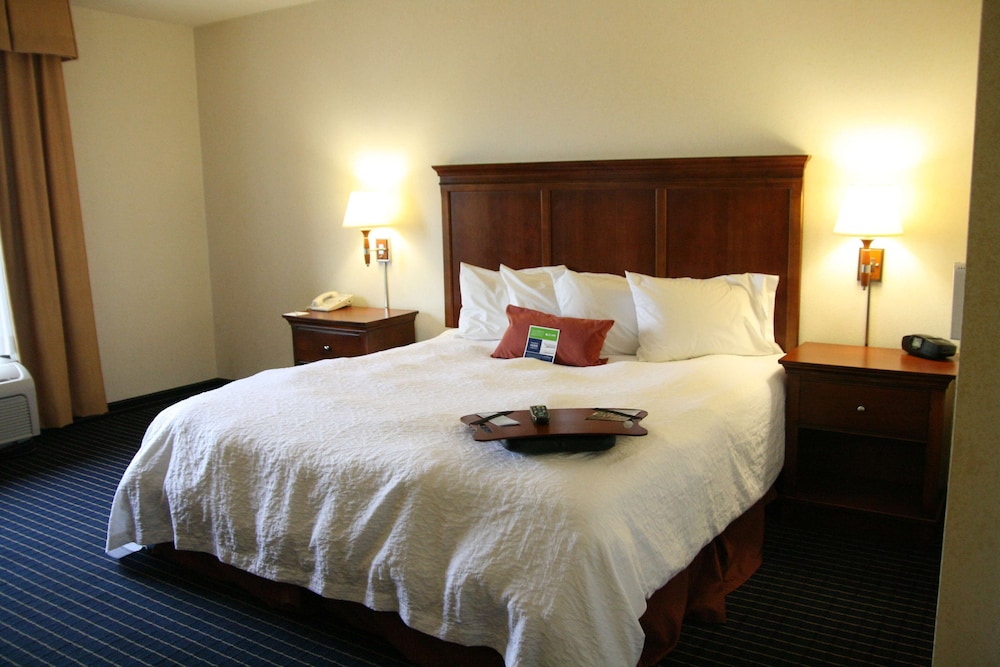 Hampton Inn Farmville VA - photo 7