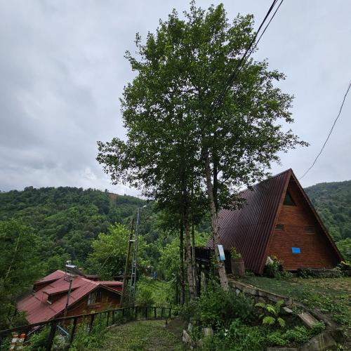 Elagza Dag Evi in Rize, Turkey