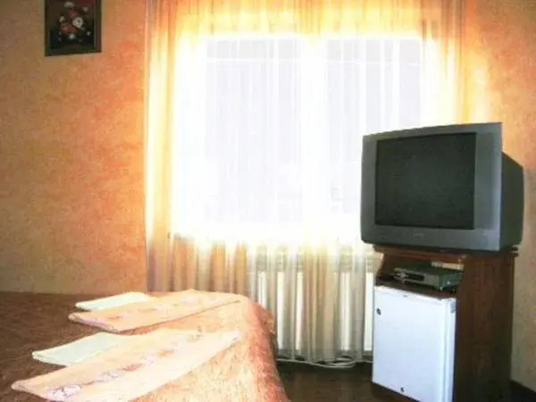 Hotel Virazh — Uzhgorod — photo 3