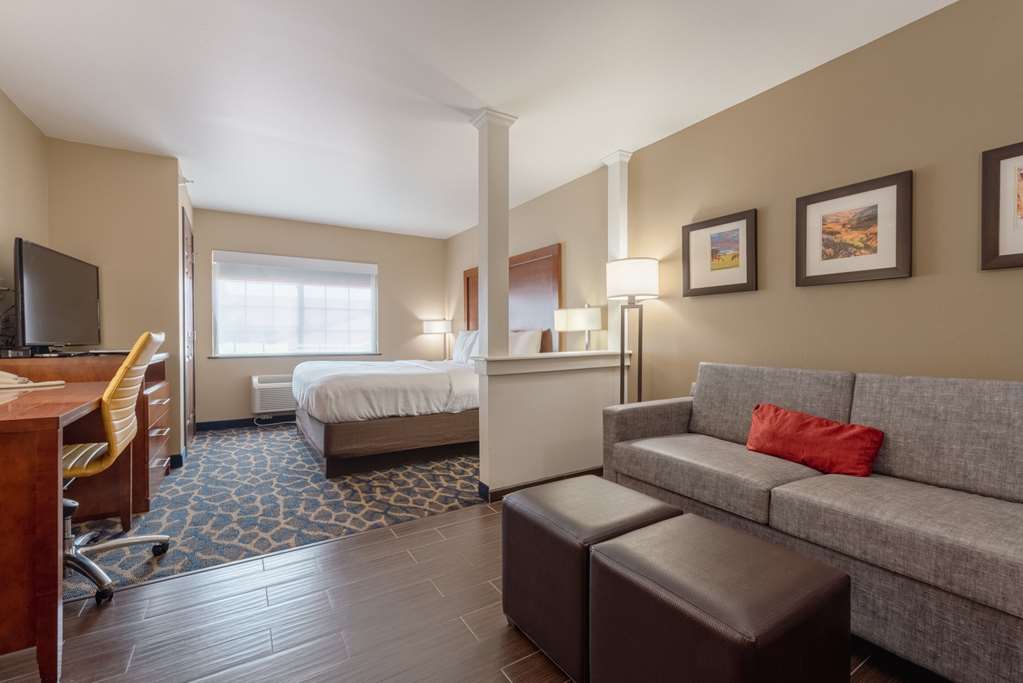 Comfort Inn & Suites Alamosa - photo 66