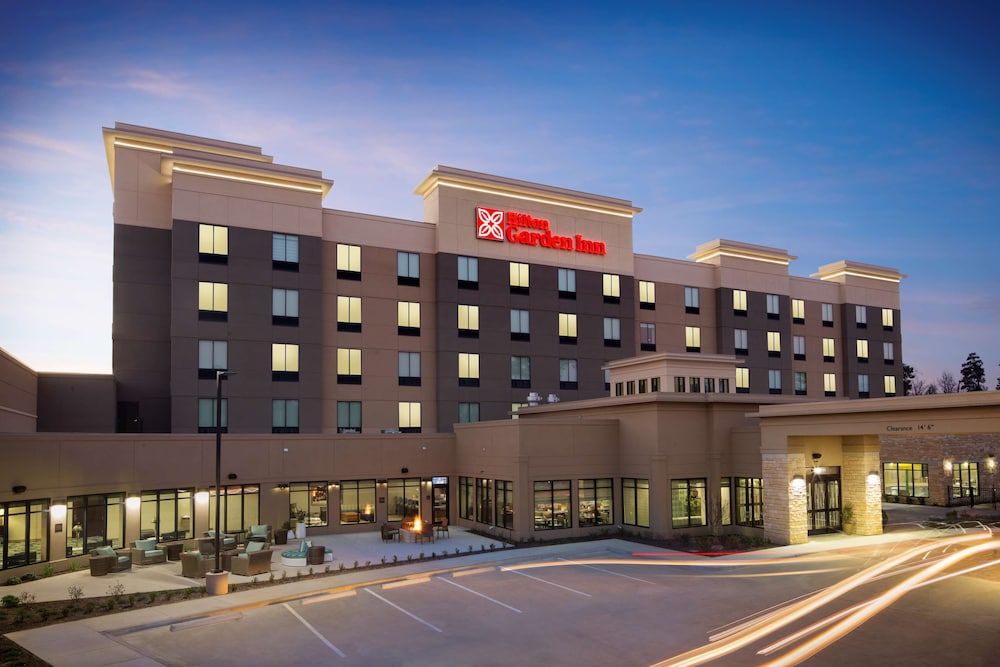 Hilton Garden Inn Longview - photo 74
