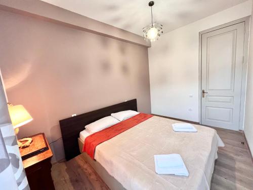 Leselidze Apartment
