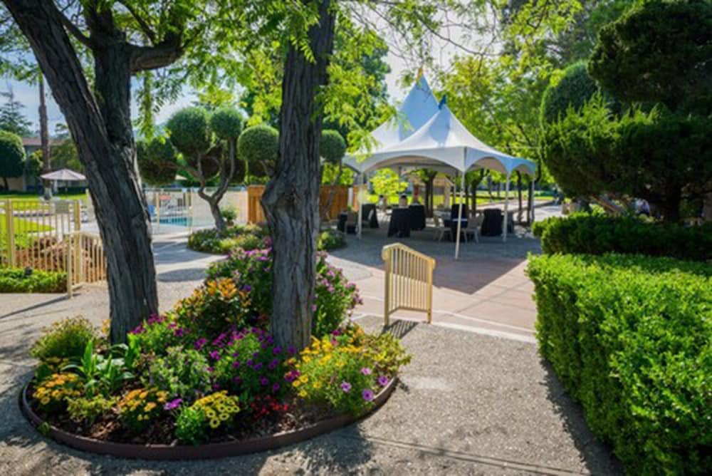 Los Gatos Lodge - photo 28