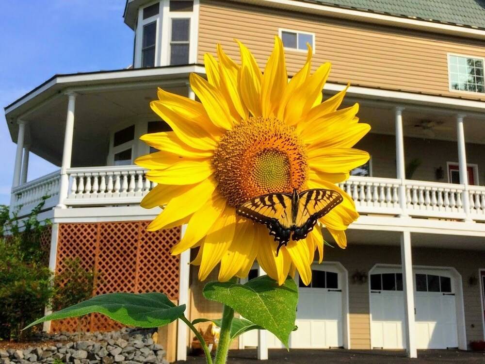 Skyline Vineyard Inn - photo 63