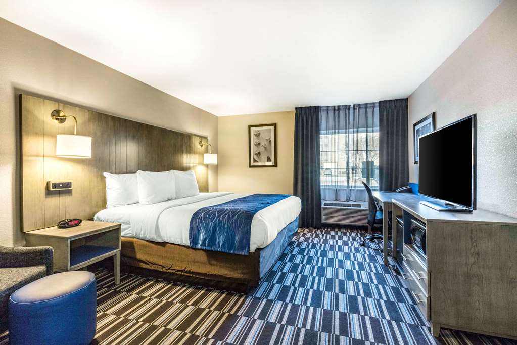 Comfort Inn Memphis Airport West - photo 28