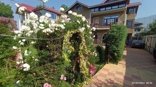 De brook in Srinagar, India