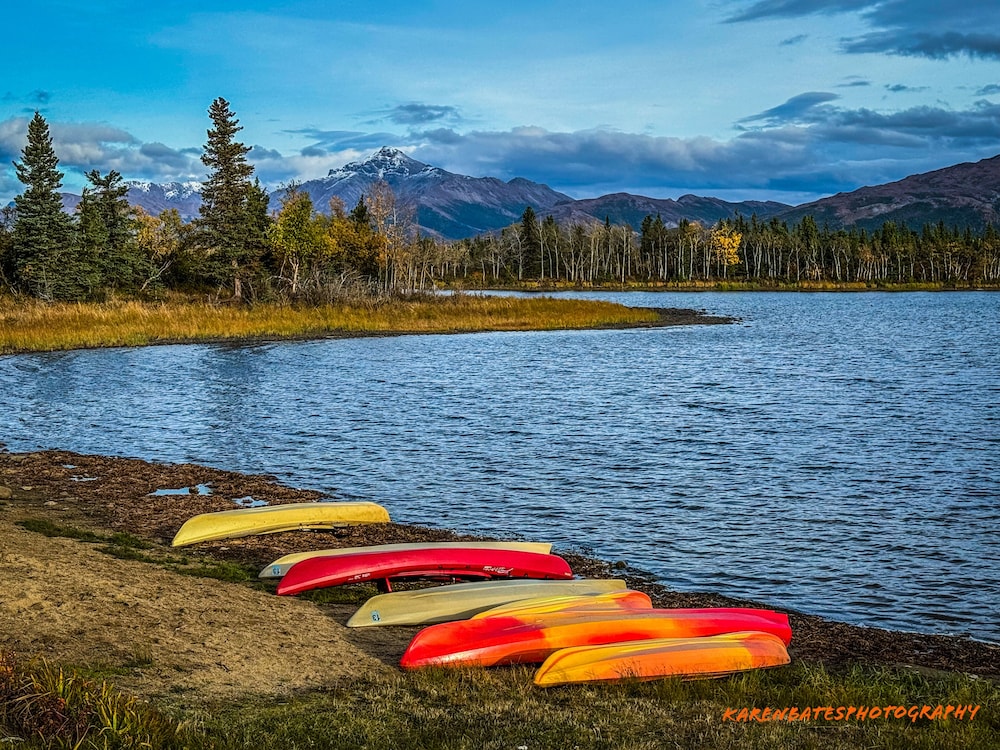 Denali Lakeview Inn - photo 36