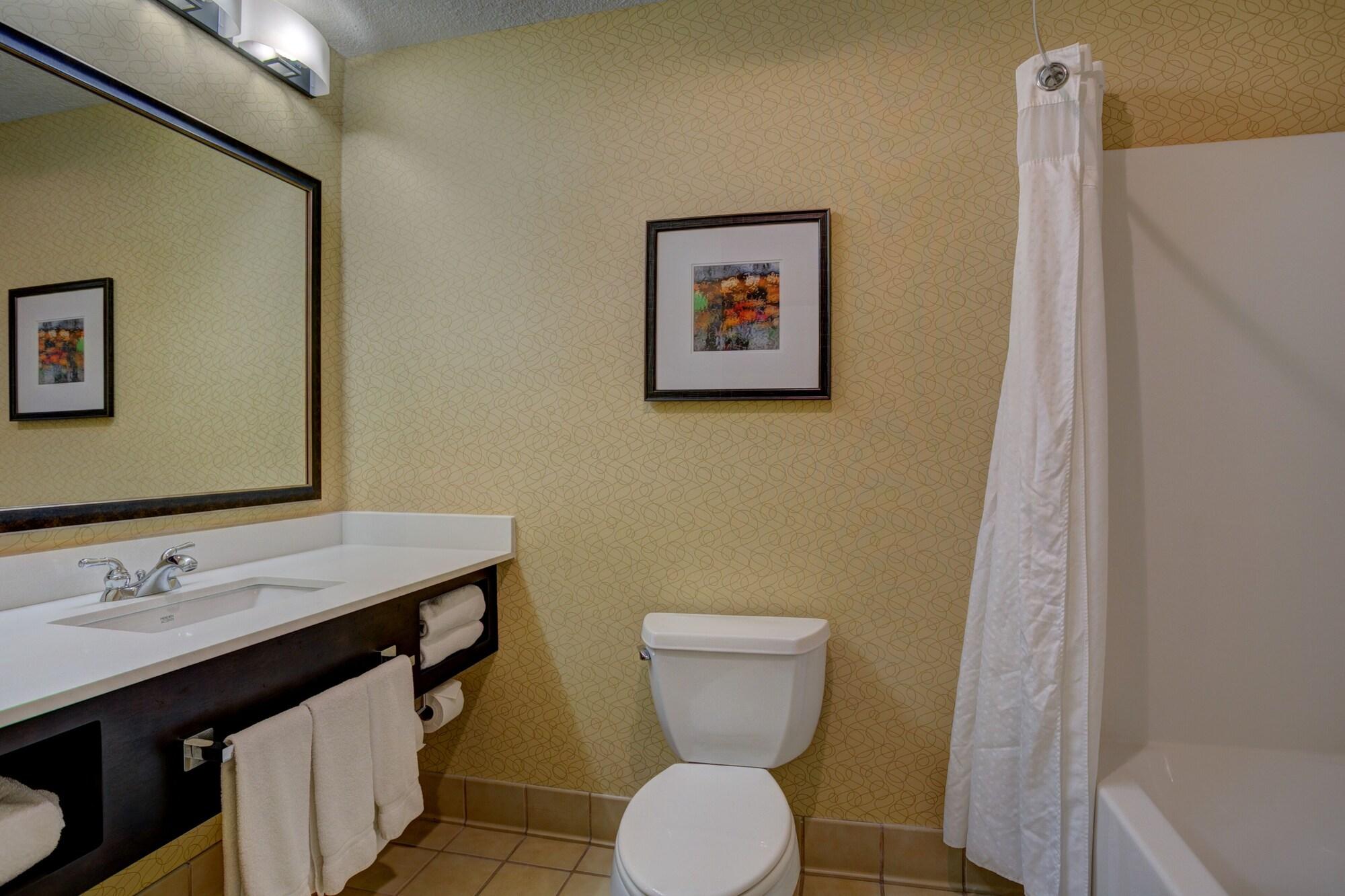 Holiday Inn Hotel & Suites Milwaukee Airport by IHG - photo 27