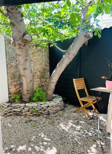 Studio Avec Jardin — hotel in Balaruc-Les-Bains