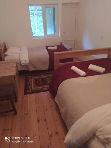 Guesthouse Gama in Khevsureti