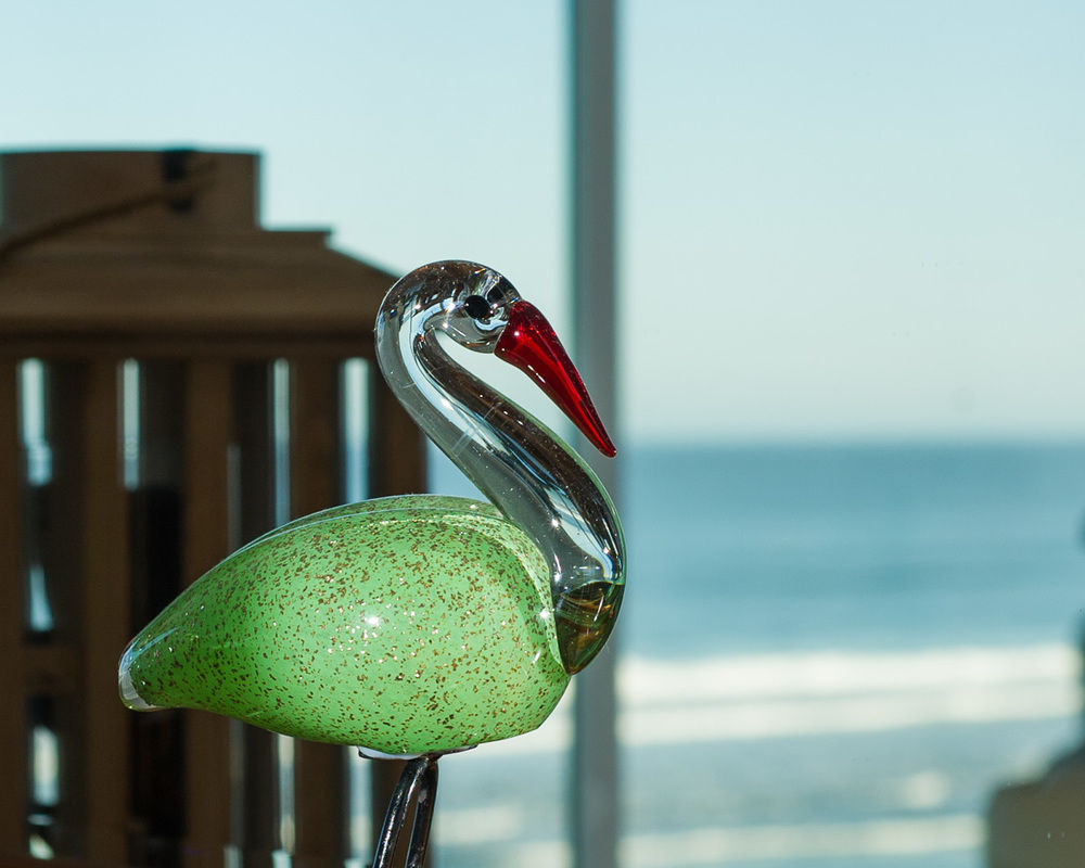 Beach Time - photo 17