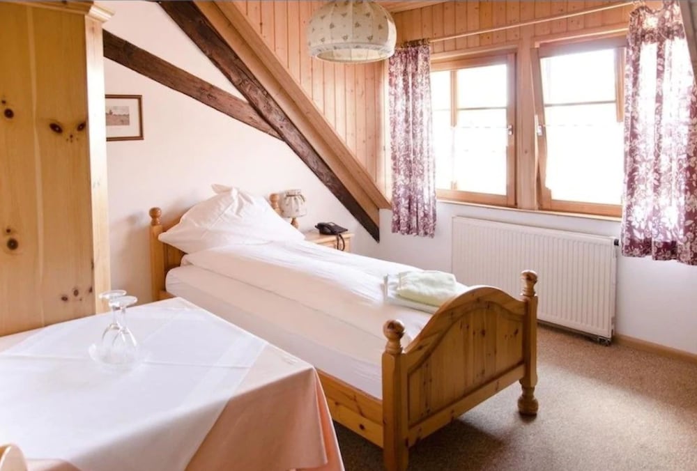 Napoleon — hotel in Rheinau