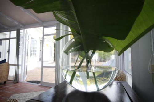 Cosimi Guest House