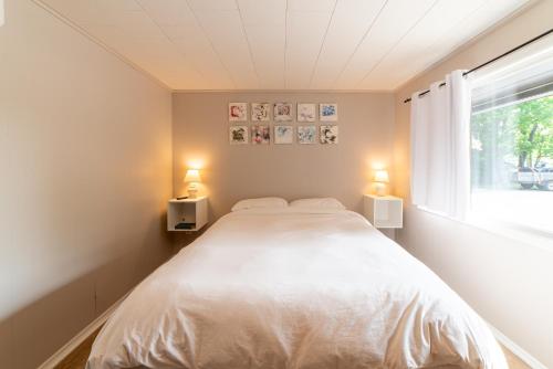 Star Gate Motel - photo 25