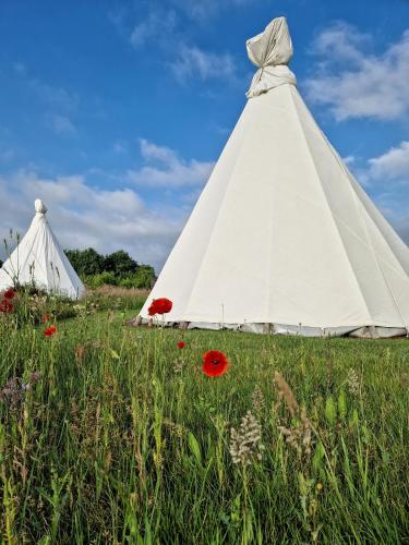 Landgoed Omorika — hotel in Ravels