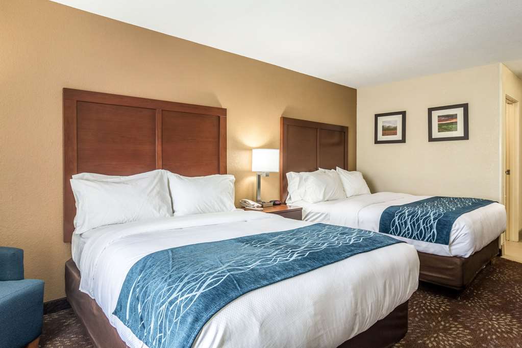 Comfort Inn & Suites Hannibal - photo 16