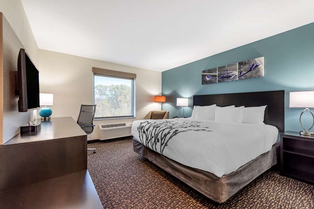 Sleep Inn Newberry Crane - photo 5