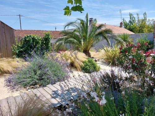 Les Marinieres D Oleron — Saint Pierre D Oleron