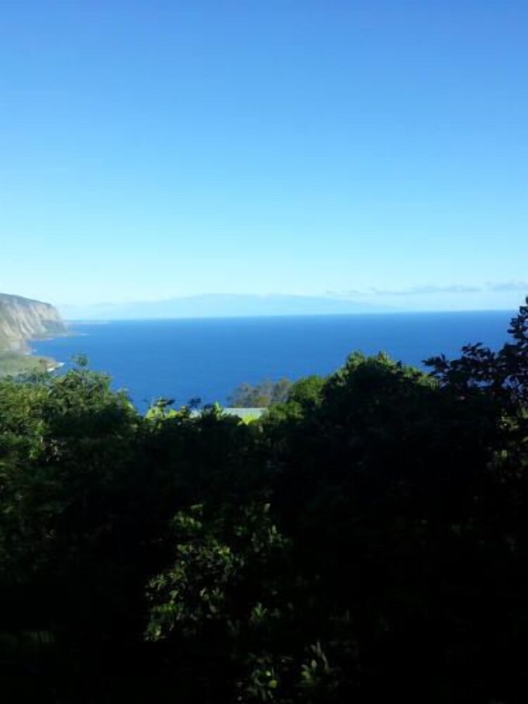 Hale Kukui Orchard & Cottages - photo 39