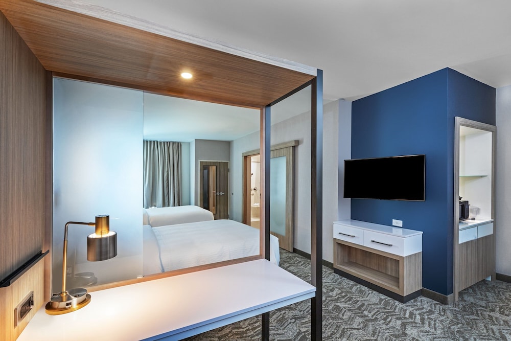 SpringHill Suites by Marriott Austin West Lakeway - photo 6