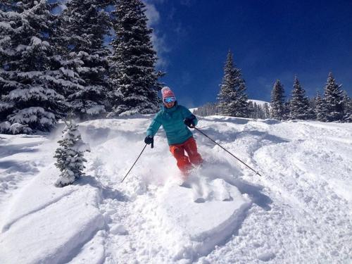 Telluride Ski Resort CO Viking Lodge Condos - photo 37