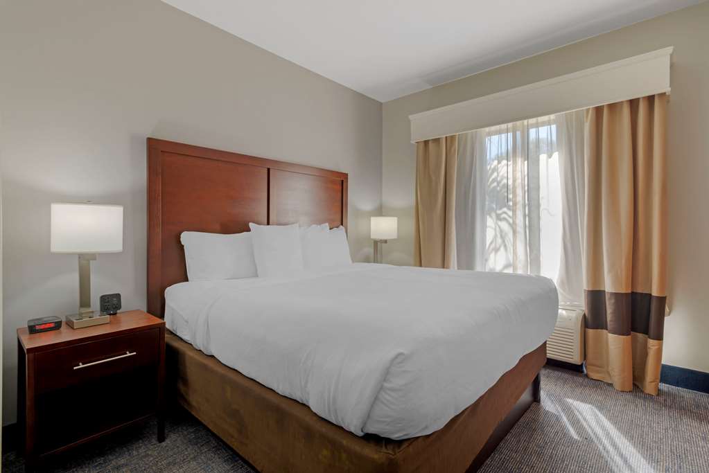 Comfort Suites Stockbridge Atlanta South - photo 19