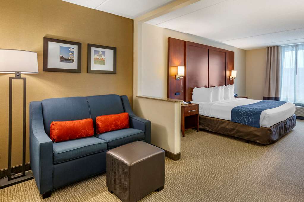 Comfort Suites Manassas Battlefield Park - photo 20